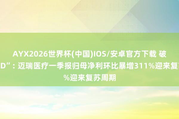 AYX2026世界杯(中国)IOS/安卓官方下载 破浪“IVD”: 迈瑞医疗一季报归母净利环比暴增311%迎来复苏周期