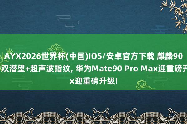 AYX2026世界杯(中国)IOS/安卓官方下载 麒麟9050+双潜望+超声波指纹， 华为Mate90 Pro Max迎重磅升级!