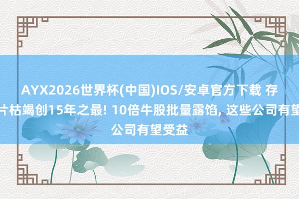 AYX2026世界杯(中国)IOS/安卓官方下载 存储芯片枯竭创15年之最! 10倍牛股批量露馅， 这些公司有望受益