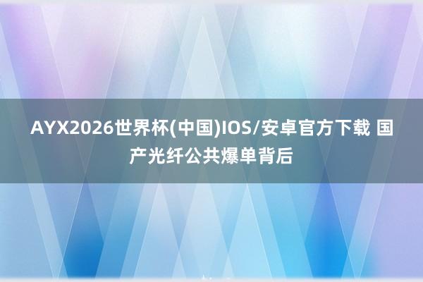 AYX2026世界杯(中国)IOS/安卓官方下载 国产光纤公共爆单背后