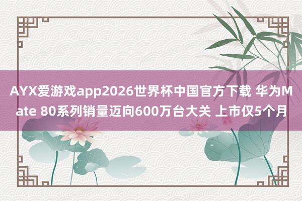 AYX爱游戏app2026世界杯中国官方下载 华为Mate 80系列销量迈向600万台大关 上市仅5个月