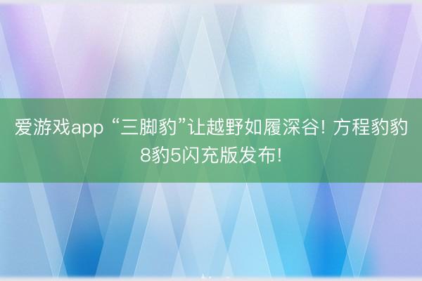 爱游戏app “三脚豹”让越野如履深谷! 方程豹豹8豹5闪充版发布!