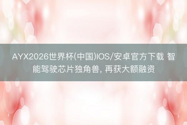AYX2026世界杯(中国)IOS/安卓官方下载 智能驾驶芯片独角兽， 再获大额融资