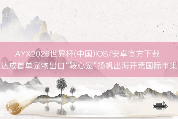 AYX2026世界杯(中国)IOS/安卓官方下载 达成首单宠物出口“鞍心宠”扬帆出海开荒国际市集