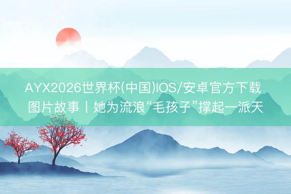 AYX2026世界杯(中国)IOS/安卓官方下载 图片故事丨她为流浪“毛孩子”撑起一派天