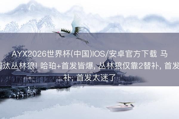 AYX2026世界杯(中国)IOS/安卓官方下载 马刺G6淘汰丛林狼! 哈珀+首发皆爆， 丛林狼仅靠2替补， 首发太迷了