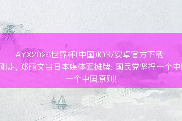 AYX2026世界杯(中国)IOS/安卓官方下载 特朗普刚走， 郑丽文当日本媒体面摊牌: 国民党坚捏一个中国原则!