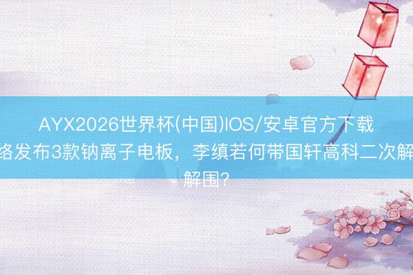 AYX2026世界杯(中国)IOS/安卓官方下载 联络发布3款钠离子电板,李缜若何带国轩高科二次解围?