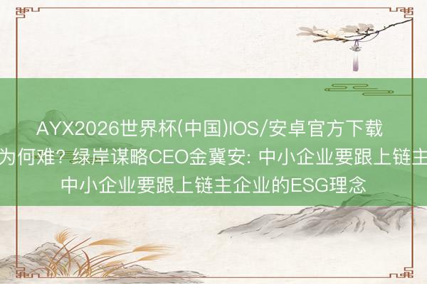 AYX2026世界杯(中国)IOS/安卓官方下载 产业链ESG协同为何难? 绿岸谋略CEO金冀安: 中小企业要跟上链主企业的ESG理念