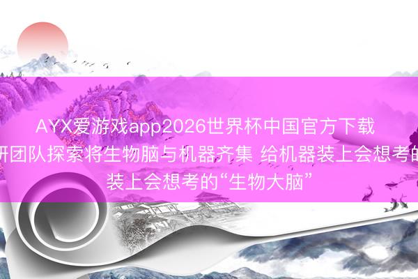 AYX爱游戏app2026世界杯中国官方下载 天津大学科研团队探索将生物脑与机器齐集 给机器装上会想考的“生物大脑”