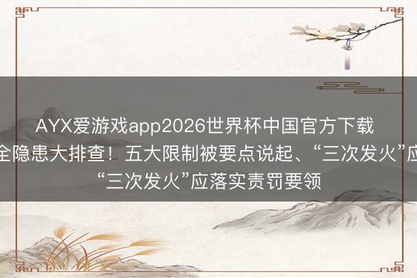 AYX爱游戏app2026世界杯中国官方下载 新能源汽车安全隐患大排查！五大限制被要点说起、“三次发火”应落实责罚要领