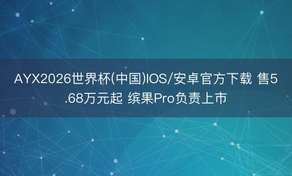 AYX2026世界杯(中国)IOS/安卓官方下载 售5.68万元起 缤果Pro负责上市