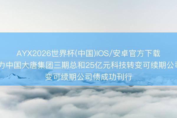 AYX2026世界杯(中国)IOS/安卓官方下载 申万宏源助力中国大唐集团三期总和25亿元科技转变可续期公司债成功刊行