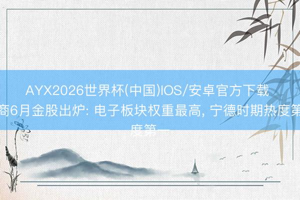 AYX2026世界杯(中国)IOS/安卓官方下载 券商6月金股出炉: 电子板块权重最高， 宁德时期热度第一