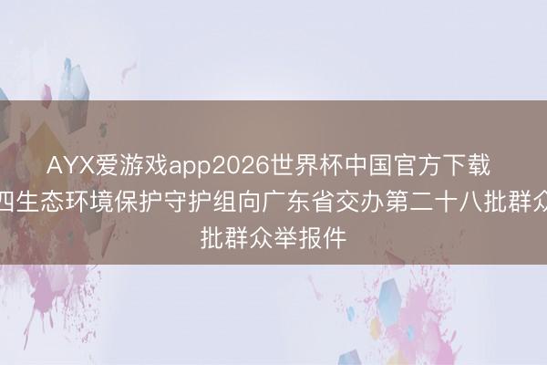 AYX爱游戏app2026世界杯中国官方下载 中央第四生态环境保护守护组向广东省交办第二十八批群众举报件