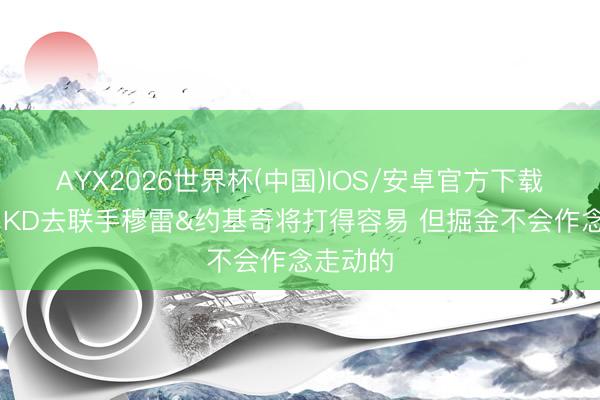 AYX2026世界杯(中国)IOS/安卓官方下载 霍里：KD去联手穆雷&约基奇将打得容易 但掘金不会作念走动的