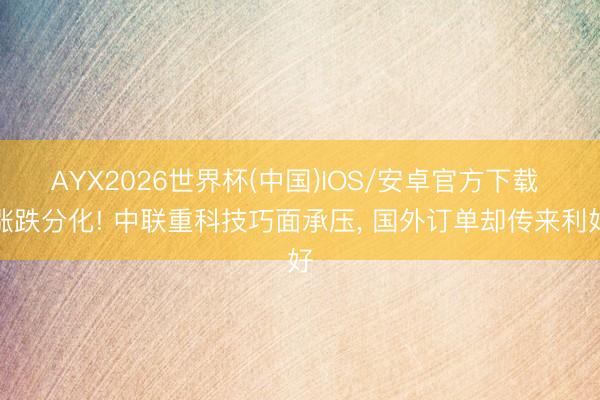 AYX2026世界杯(中国)IOS/安卓官方下载 涨跌分化! 中联重科技巧面承压， 国外订单却传来利好