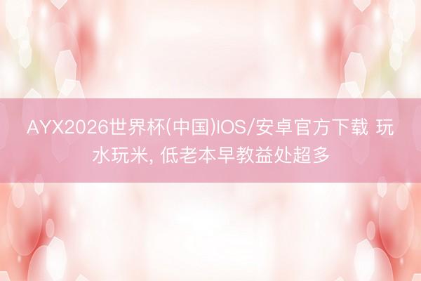AYX2026世界杯(中国)IOS/安卓官方下载 玩水玩米， 低老本早教益处超多