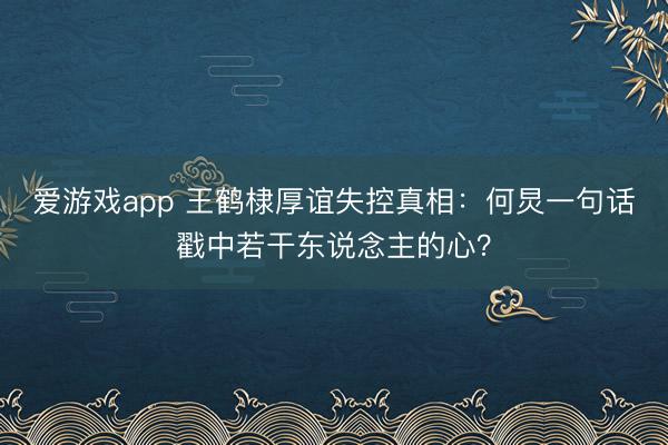 爱游戏app 王鹤棣厚谊失控真相：何炅一句话戳中若干东说念主的心？