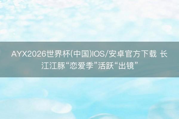 AYX2026世界杯(中国)IOS/安卓官方下载 长江江豚“恋爱季”活跃“出镜”