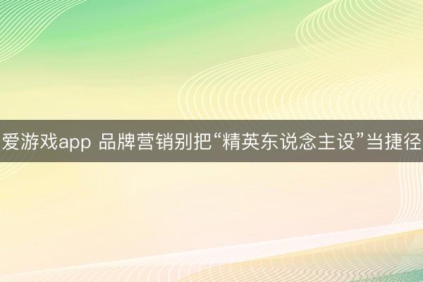 爱游戏app 品牌营销别把“精英东说念主设”当捷径