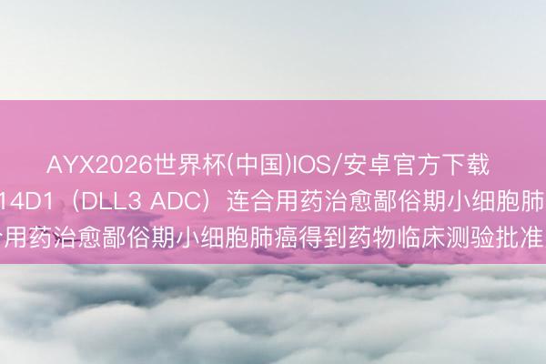 AYX2026世界杯(中国)IOS/安卓官方下载 百利天恒：打针用BL-M14D1（DLL3 ADC）连合用药治愈鄙俗期小细胞肺癌得到药物临床测验批准见告书