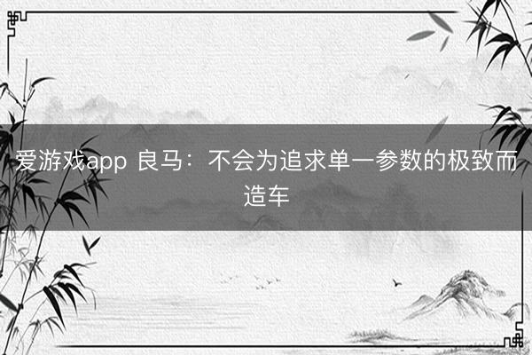 爱游戏app 良马：不会为追求单一参数的极致而造车