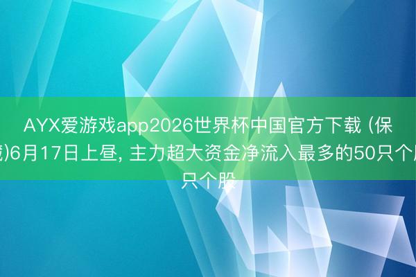 AYX爱游戏app2026世界杯中国官方下载 (保藏)6月17日上昼， 主力超大资金净流入最多的50只个股